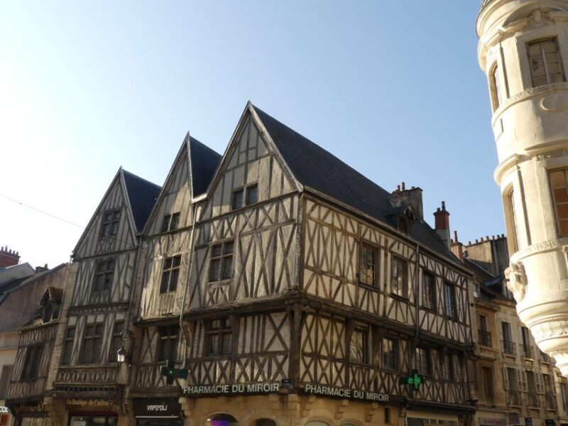 Dijon: Private Walking Tour Discover History & Heritage - Reviews That Speak Volumes
