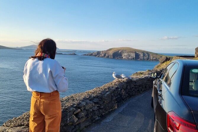 Dingle: Hour Slea Head Drive Tour 4hr - Personal Chauffeur Guide - Exploring the Dingle Peninsula in Style: A Deep Dive