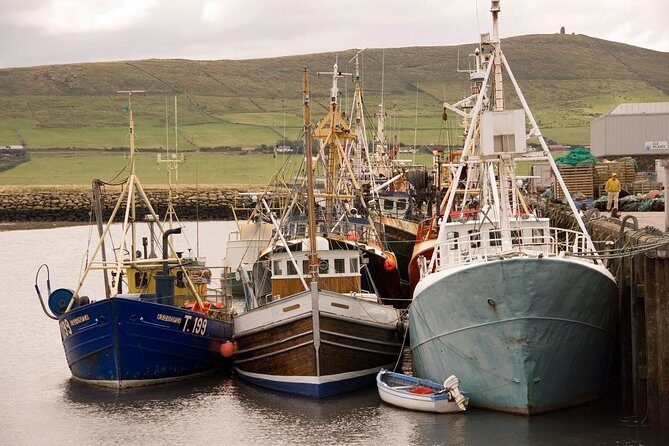 Dingle Peninsula Day Tour from Limerick: Including The Wild Altanic Way - Key Points