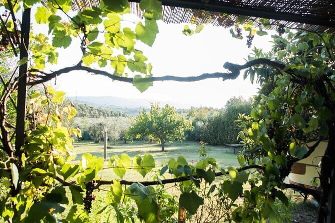 Dining Experience in a 13th-Century Monastery in Florence - Practical Details and Tips