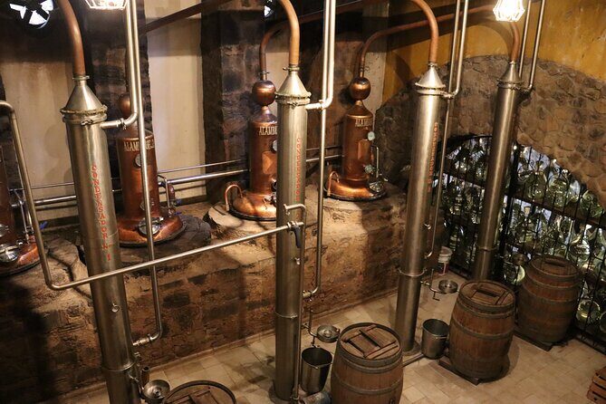 Dinner and Party in Amatitán Tequila and Tradition and Music - Introduction