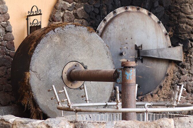 Dinner and Party in Amatitán Tequila and Tradition and Music - Key Points