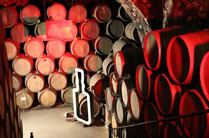 Dinner and Party in Amatitán Tequila and Tradition and Music - Who Will Love This Tour?