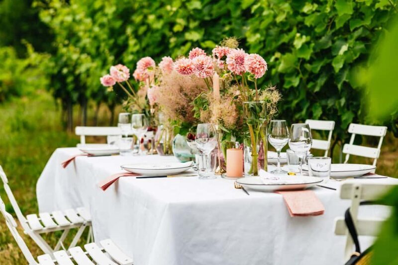 Dinner in the vineyard French Riviera - A Closer Look at the Experience