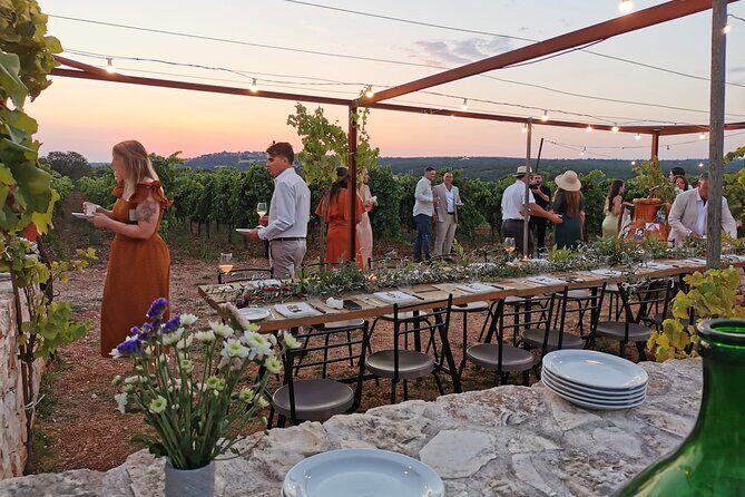 Dinner in the vineyard with wine tasting and walk - Key Points