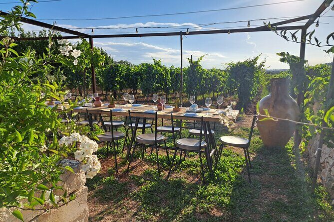 Dinner in the vineyard with wine tasting and walk - An In-Depth Look at the Experience