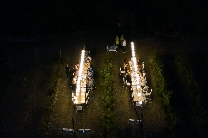 Dinner in the Vineyards - Who Should Book This Tour?