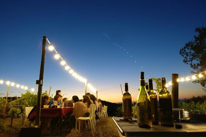 Dinner in the Vineyards - FAQ