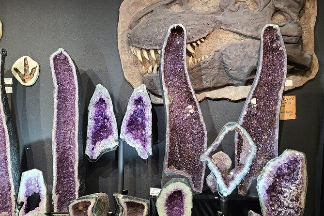 Dinosaur World Glen Rose - Key Points