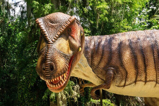 Dinosaur World Glen Rose - The Sum Up: Who Will Love Dinosaur World Glen Rose?