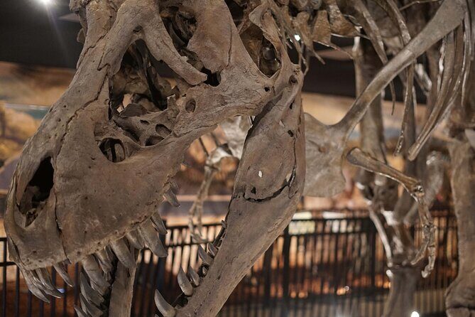 Dinosaur World Theme Park - FAQ about Dinosaur World