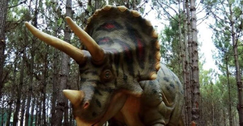 Dinosaurs Park - Family Half day tour - An In-Depth Look at the Dino Parque Tour