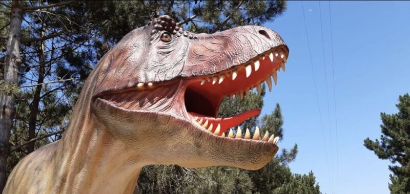 Dinosaurs Park - Family Half day tour - Final Thoughts