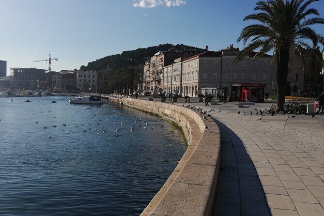 Diocletian's Palace Small Group Tour in Split - FAQ