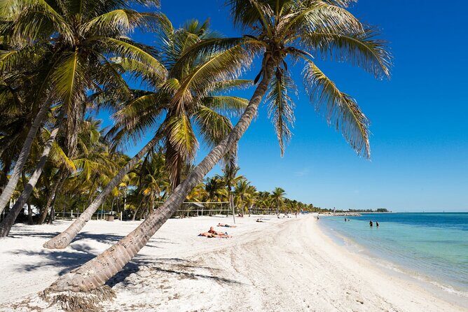 Direct Shuttle from Orlando to Key West (Up to 15 people group) - Detailed Breakdown of the Trip