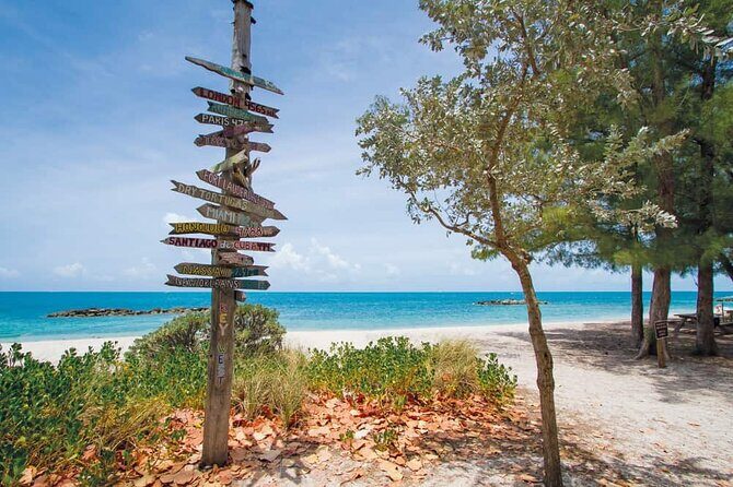 Direct Shuttle from Orlando to Key West (Up to 15 people group) - Who Is This Experience Best For?