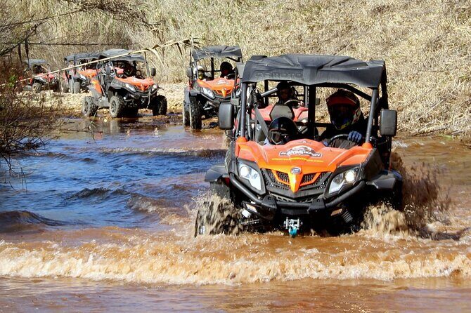 Dirt & Dust Buggy Tour - The Scenic Highlights