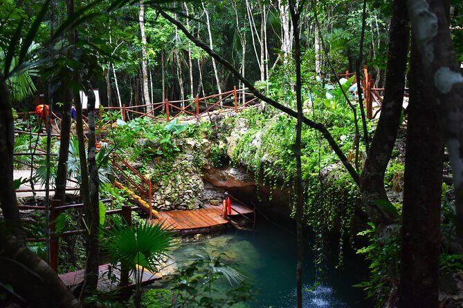 Discover 3 amazing cenotes. Includes transport & snack - A Closer Look at the Cenotes Tour