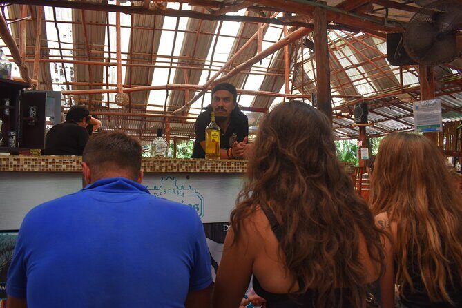 Discover 3 amazing cenotes. Includes transport & snack - FAQ