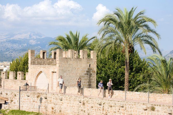 Discover Alcudia old town on a private walking tour - Key Points