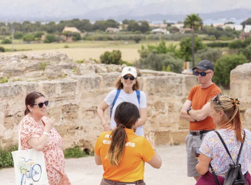Discover Alcudia's Hidden Gems: Walking Tour of the Old Town - Who Should Take This Tour?