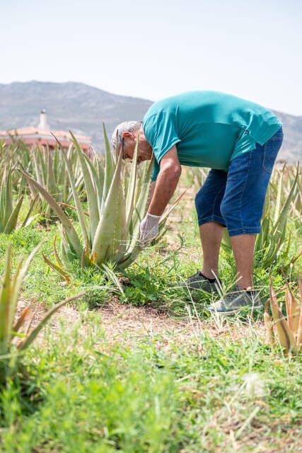 Discover Aloe: A Farm Walk & Workshop - FAQ