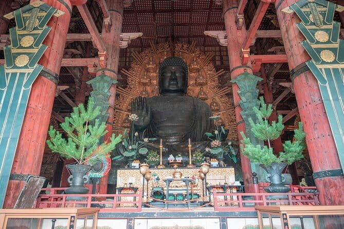 Discover Ancient Nara: Private Car Tour from Kyoto or Osaka - Why Choose This Tour?