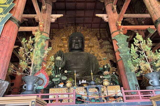 Discover Ancient Nara: Private Car Tour from Kyoto or Osaka - Final Thoughts