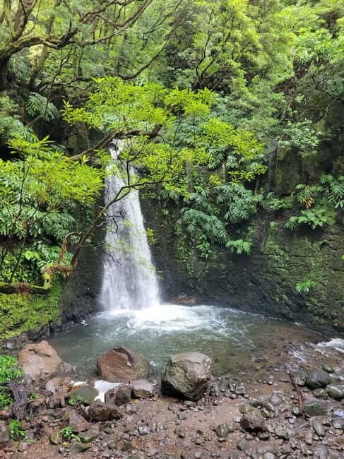 Discover and Hike São Miguel with Rúben - Who Will Love This Tour?