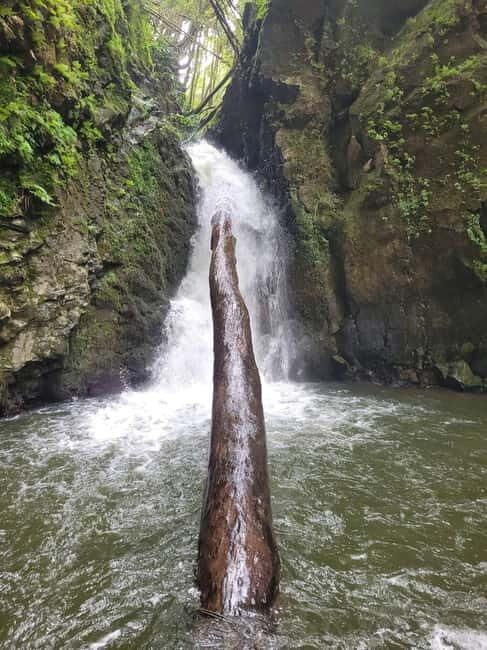 Discover and Hike São Miguel with Rúben - The Sum Up