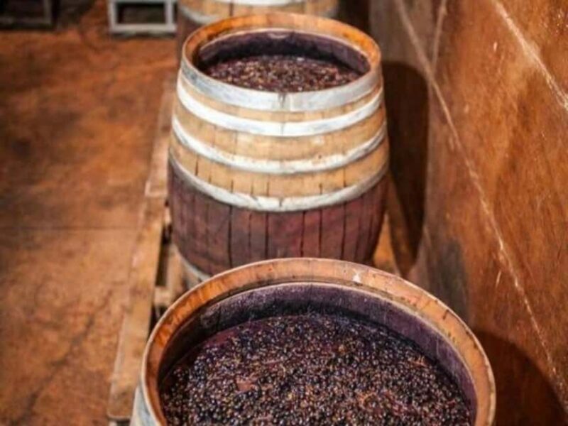 Discover Antigonea in a perfect escape from Gjirokastra - Discover Antigonea in a Perfect Escape from Gjirokastra