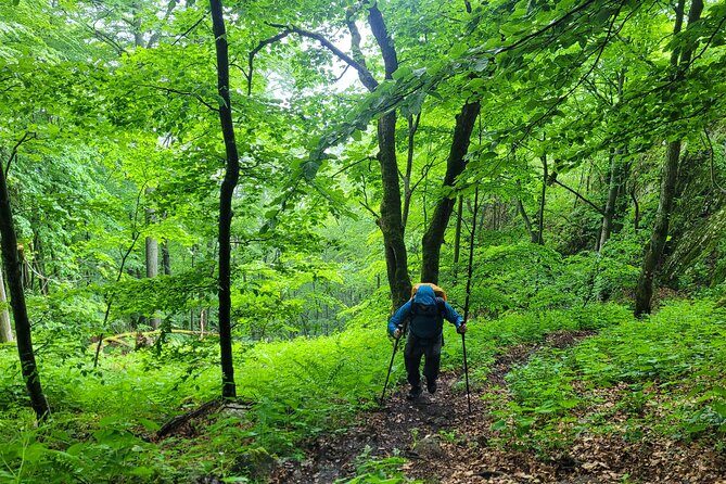 Discover Apuseni Mountains - Scarita Summit,Sipote Waterfall and Dumesti Village - Who Will Love This Tour?