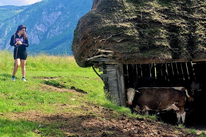 Discover Apuseni Mountains - Scarita Summit,Sipote Waterfall and Dumesti Village - The Sum Up