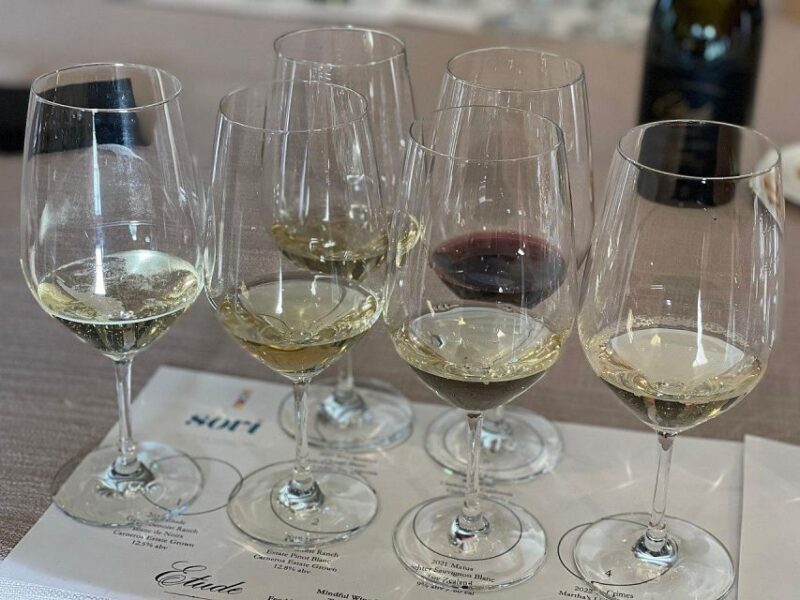 Discover Arrábida: Wine and Scenic Wonders - FAQ