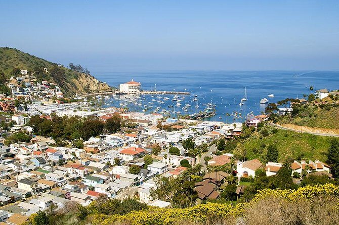 Discover Avalon: Catalina Scenic Tour - What to Expect from the Avalon Scenic Tour
