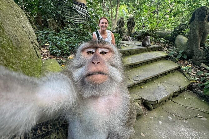 Discover Bali Best Tours: Tanah Lot, Monkey Forest, and Waterfall - The Sum Up
