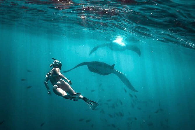 Discover Bali Best Tours: Tanah Lot, Monkey Forest, and Waterfall - FAQs