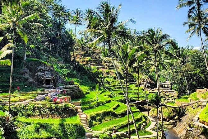 Discover Bali Your Way With Aman Bali Driver - Why This Tour Is Worth Considering