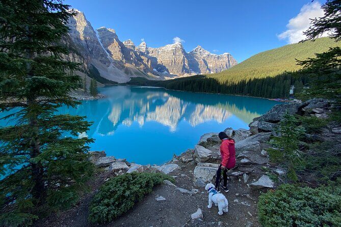 Discover Banff National Park with Dog Friendly Exclusive Tour - An Overview of the Banff Dog-Friendly Tour
