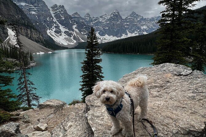 Discover Banff National Park with Dog Friendly Exclusive Tour - Final Words