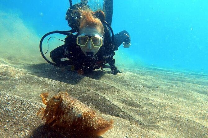 Discover beginner diving in Tenerife - Authentic reviews and what they reveal