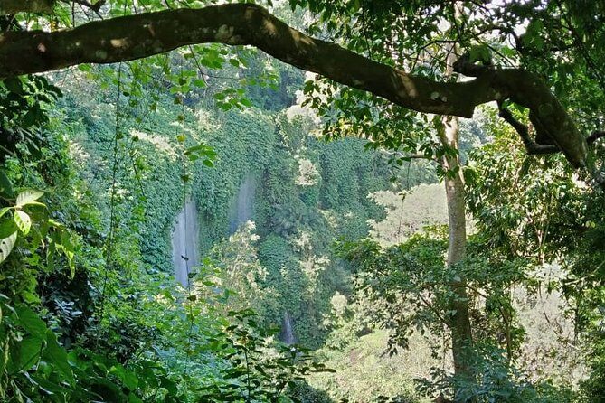 Discover Benang Stokel Waterfall - Who Should Consider This Tour?