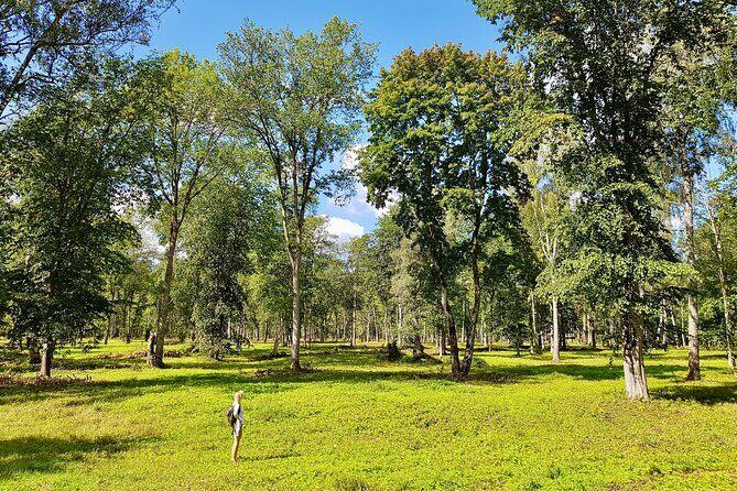 Discover Best Of Gauja National Park In One Day - An In-Depth Look at the Gauja National Park Day Trip