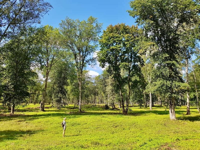 Discover Best of Sigulda and Gauja National Park In One Day - An In-Depth Look at the Gauja National Park and Sigulda Day Tour