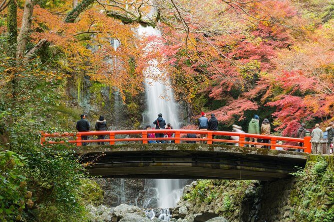 Discover Bohemian Nakazakicho - A Deep Dive into Nakazakicho