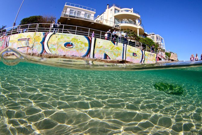 Discover Bondi Guided Beach And Coastal Walking Tour - Coastal Walk & Aboriginal Rock Carvings
