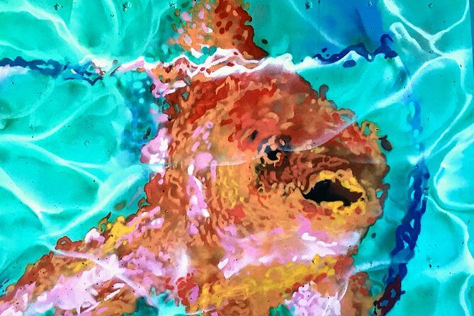 Discover Brisbane - South Bank - Who Will Love This Experience?