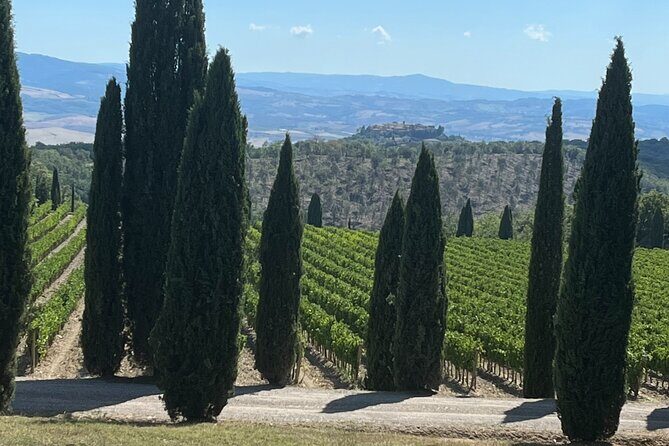 Discover Brunello Wines with DiWine Experience - Exploring the Details: What the Tour Offers