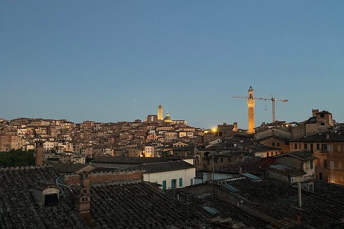 Discover Brunello Wines with DiWine Experience - The Sum Up