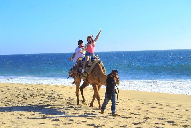 Discover Cabo San Lucas by camel ride - Who Will Love This Tour?